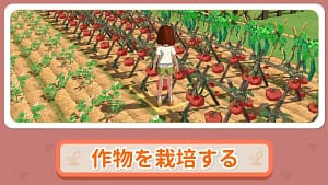 Morikomori Life